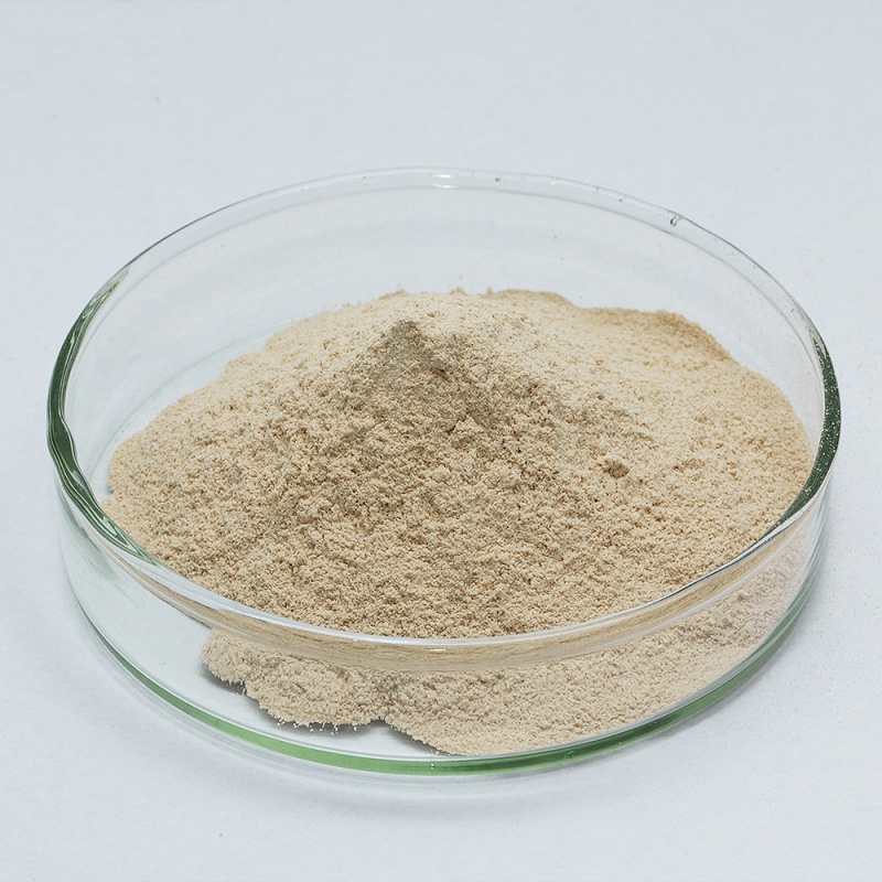 Pancreatin enzymes