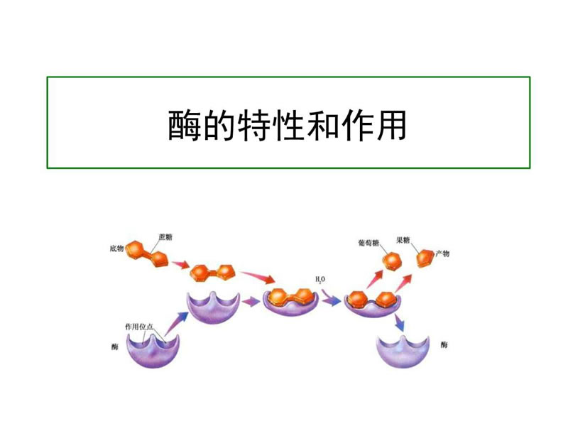 酶制劑特性