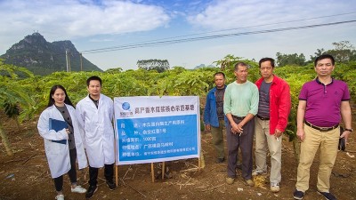 國(guó)內(nèi)最好的酶制劑廠家