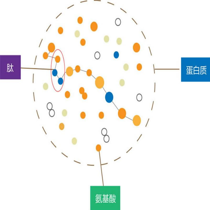 酶解技術