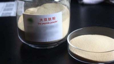 生產(chǎn)大豆低聚肽與多肽會(huì)用到哪些酶制劑？