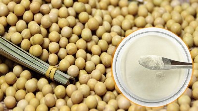 酶解法制備大豆蛋白肽具有什么優(yōu)勢(shì)？